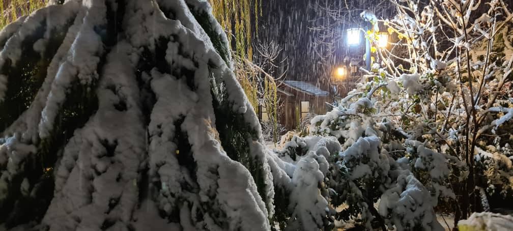 اجاره کلبه چوبی در سربست سپیدان - تیام