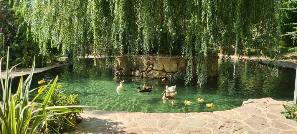 اجاره کلبه چوبی در سربست سپیدان - تیارا