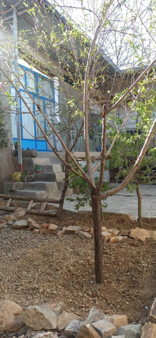 اجاره بومگردی سنتی در روستای کوی نیک ابهر