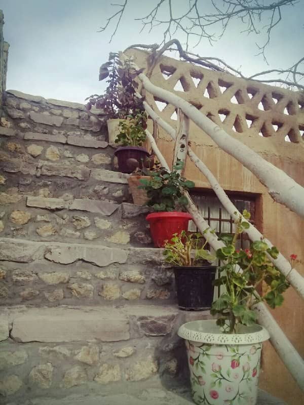 اجاره اقامتگاه در قلعه بالا شاهرود - اتاق 2