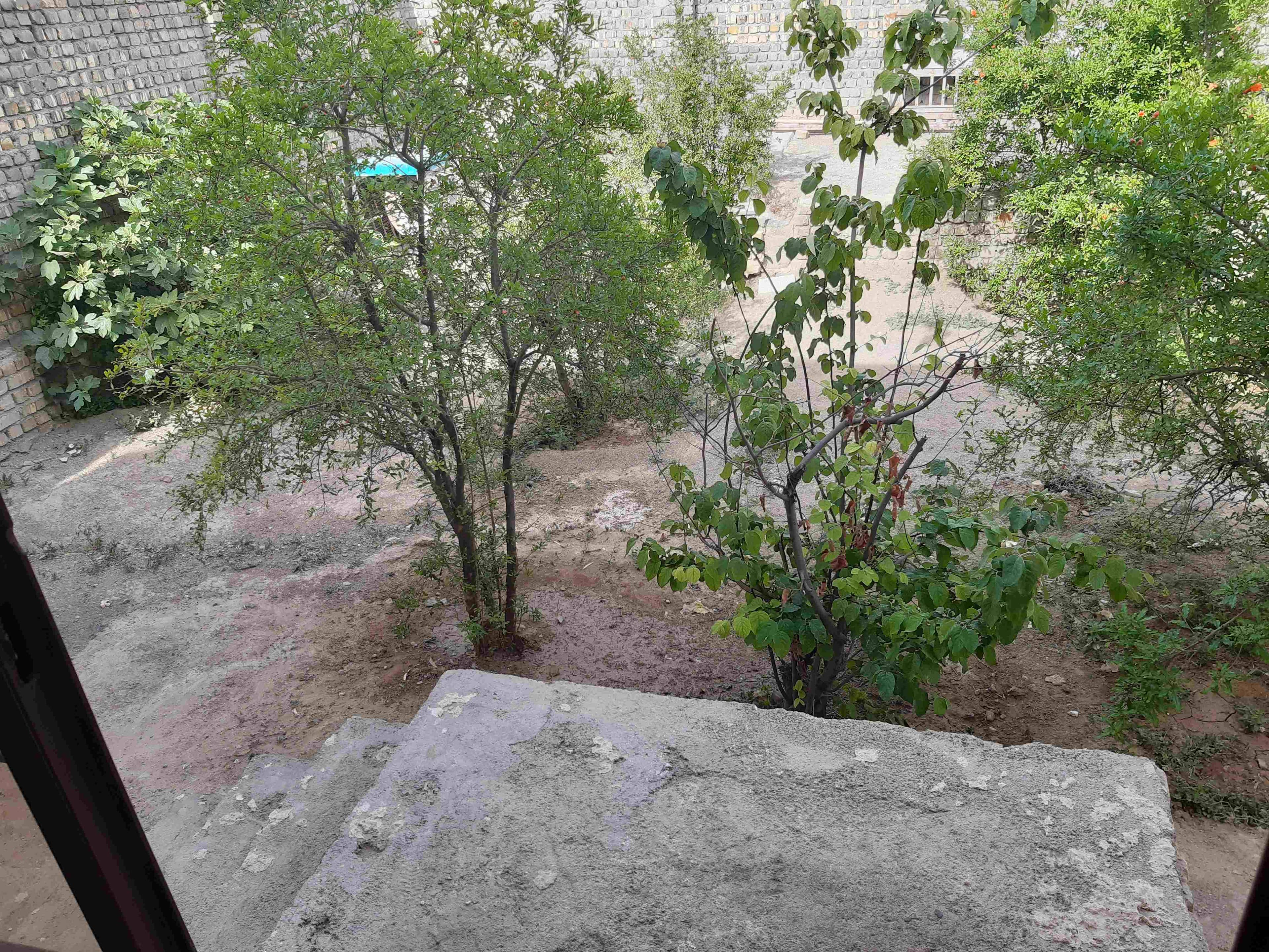 اجاره خانه باغ ویلایی دربست