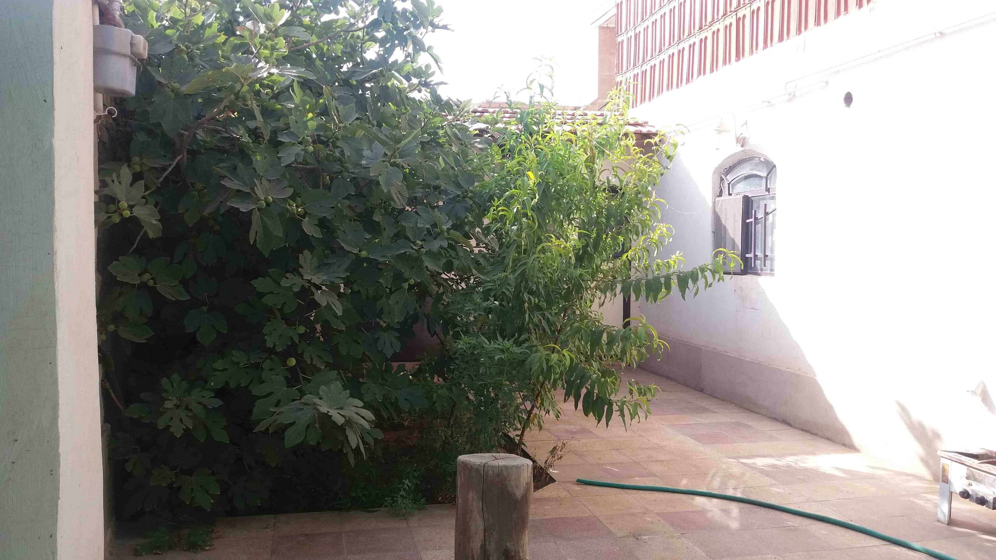 اجاره منزل ویلایی در امیرکبیر- کاشان دوخوابه همکف