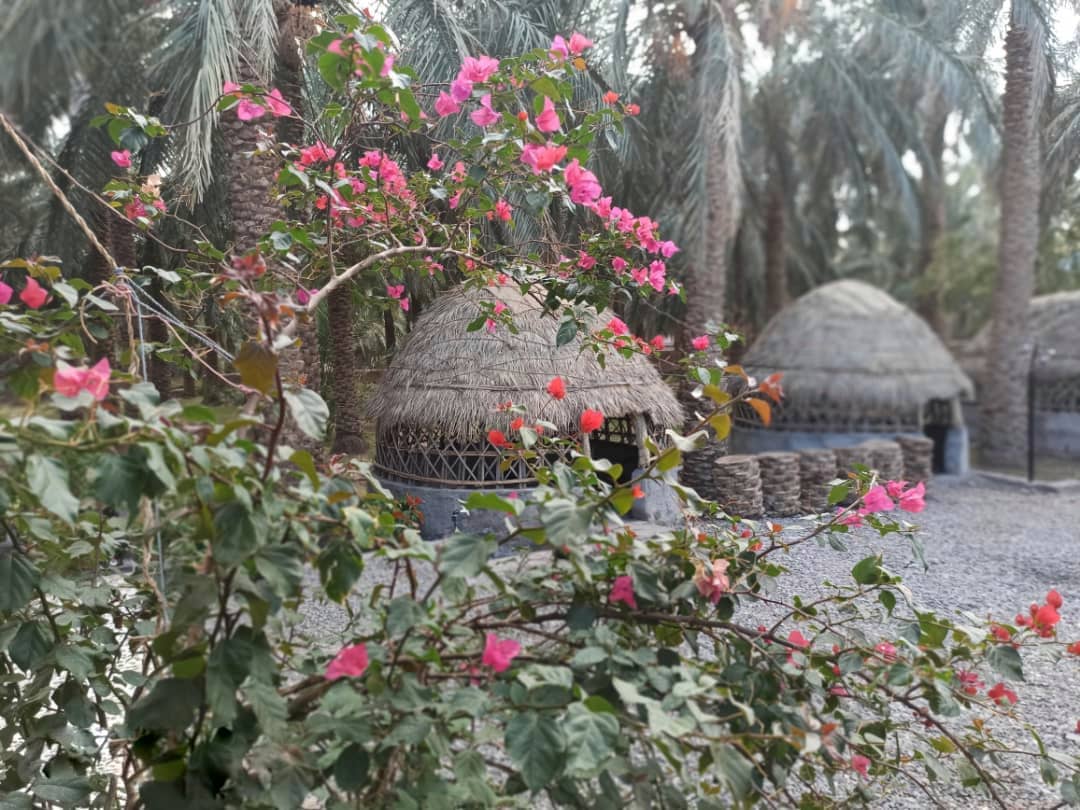 اجاره خانه سنتی در نرماشیر - نخلستان