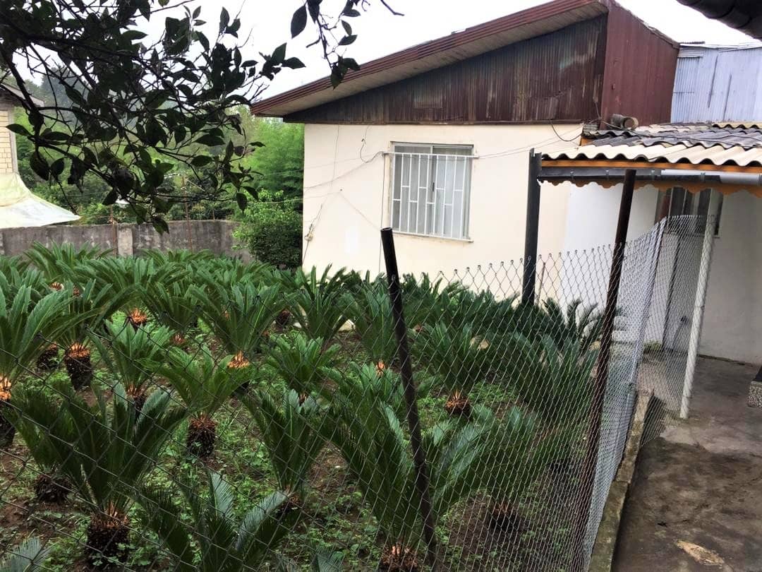 اجاره منزل ویلایی در انصاری لاهیجان