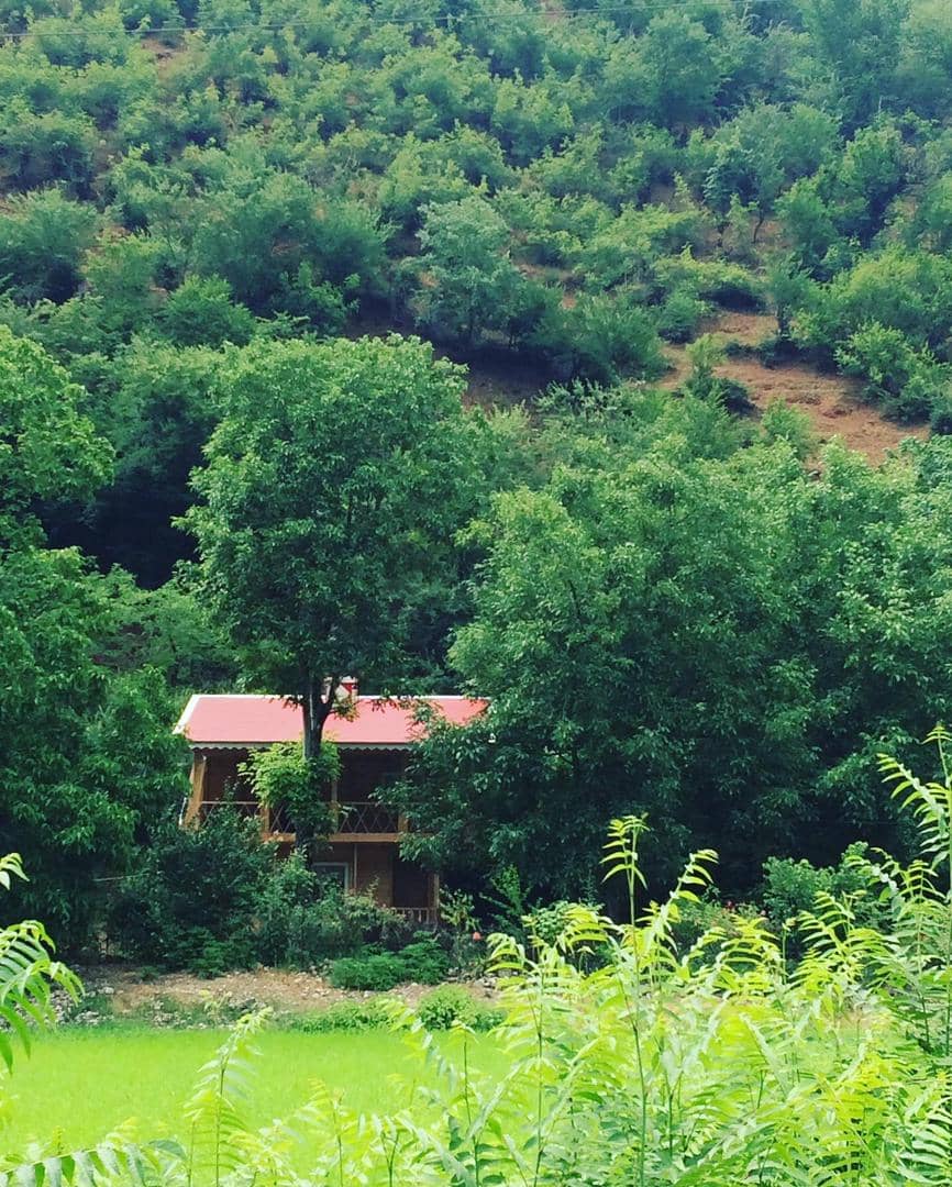 اجاره کلبه چوبی جنگلی در کنزر ماسال