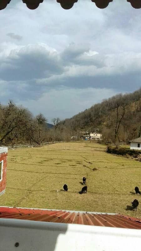 اجاره سوئیت دربستی درتالش