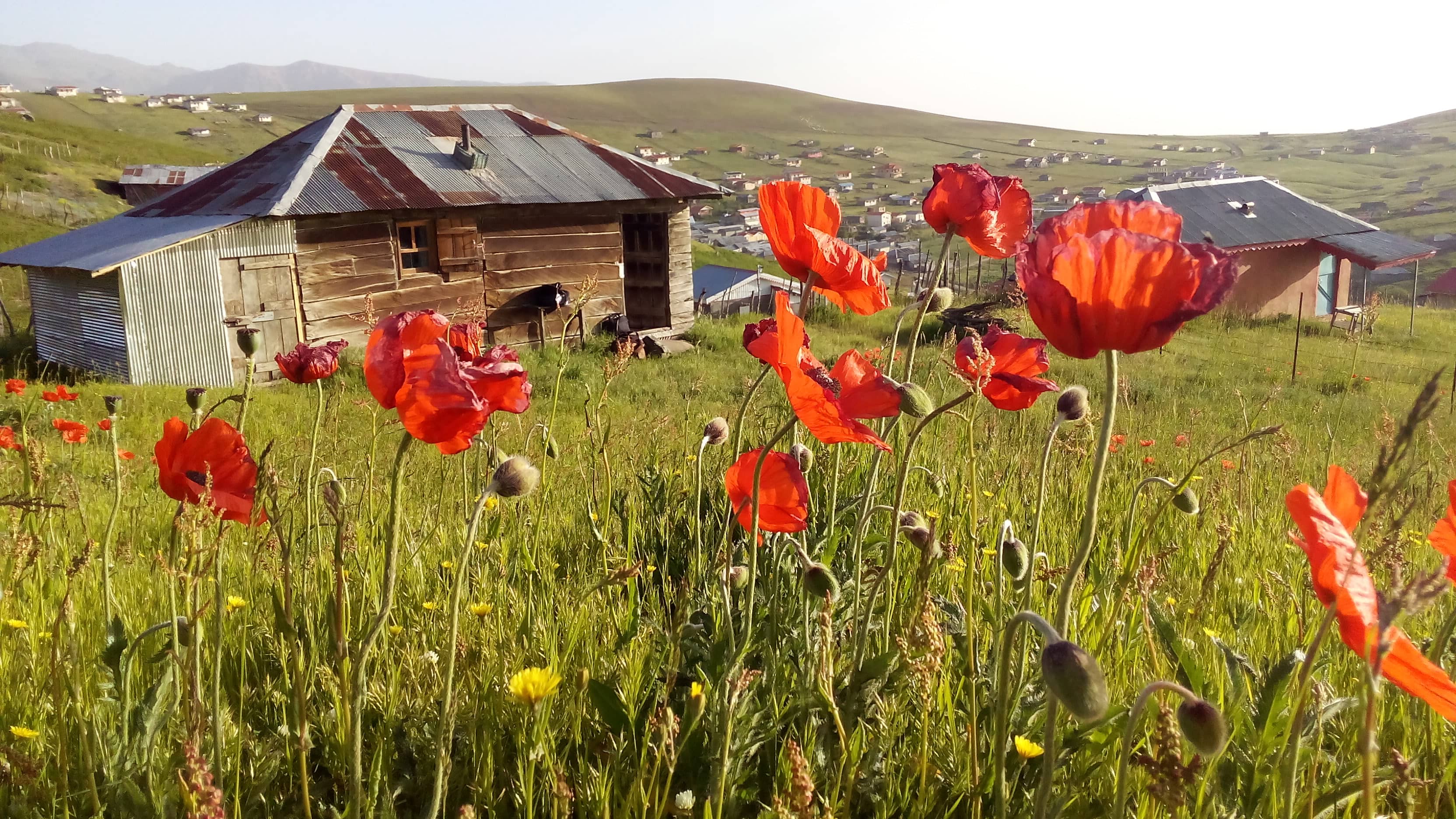 اجاره کلبه سنتی ییلاقی در سوباتان لیسار - تالش