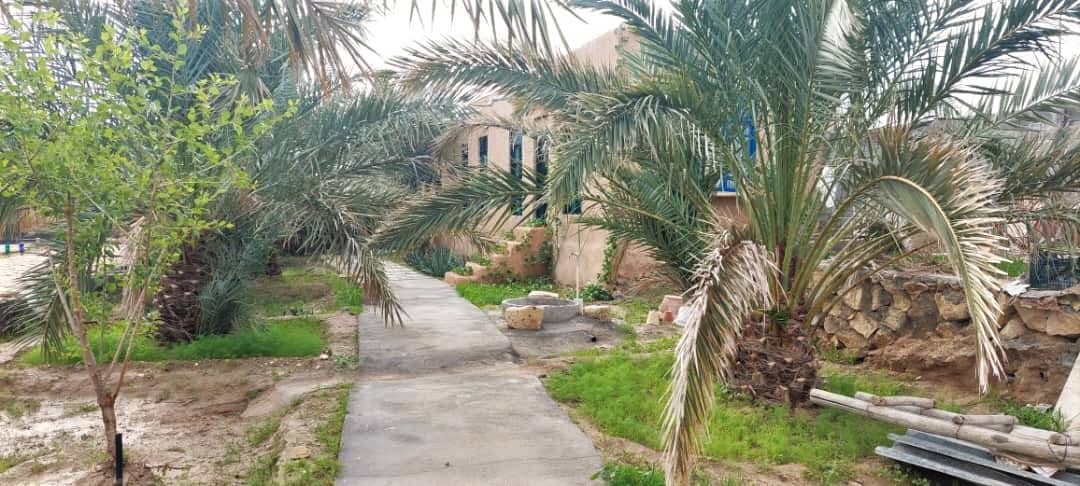 اجاره اتاق سنتی در روستا جبری خورموج - نخل