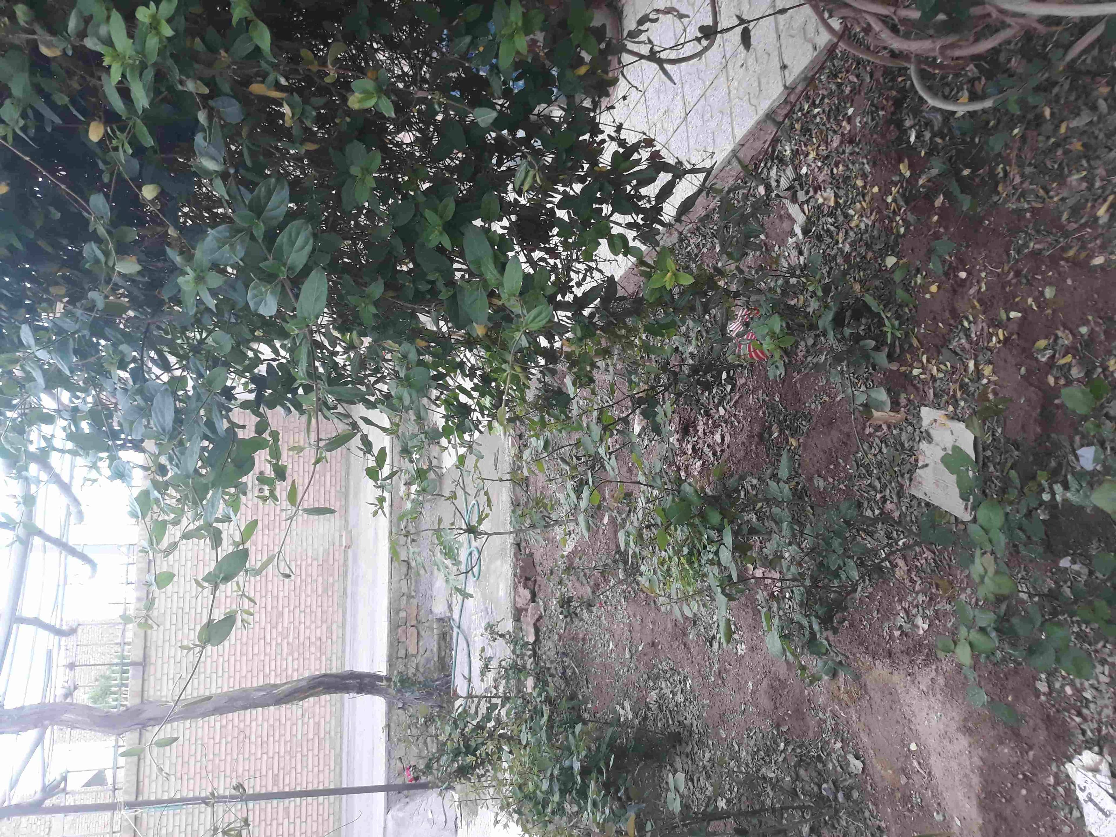 اجاره منزل مبله ارزان در شهر یزد 