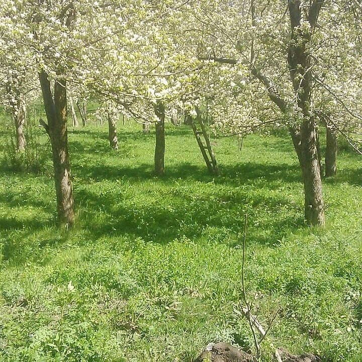 اجاره بومگردی طبیعت گردی روستایی سهرورد زنجان 