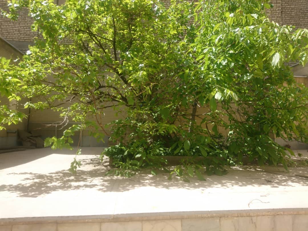 اجاره منزل مبله در کوی امیریه اصفهان - 1