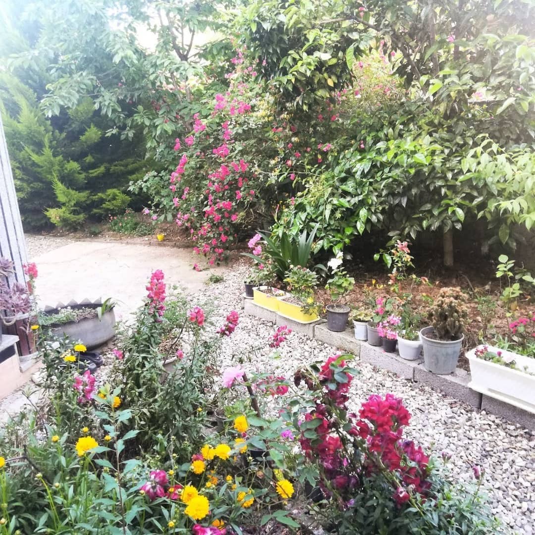 اجاره خانه مبله شیک در تالش 