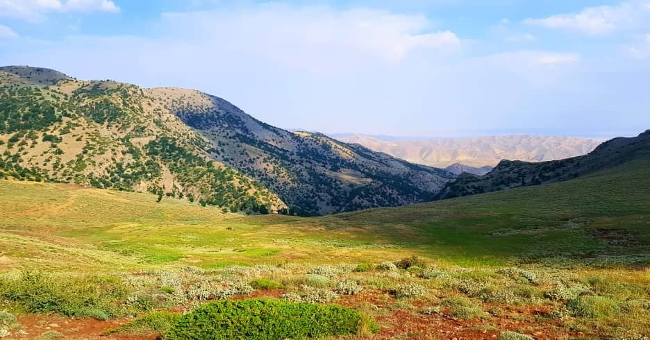 اجاره اقامتگاه بومگردی سنتی در ازادشهر سمنان-اتاق جنگل ابر 4