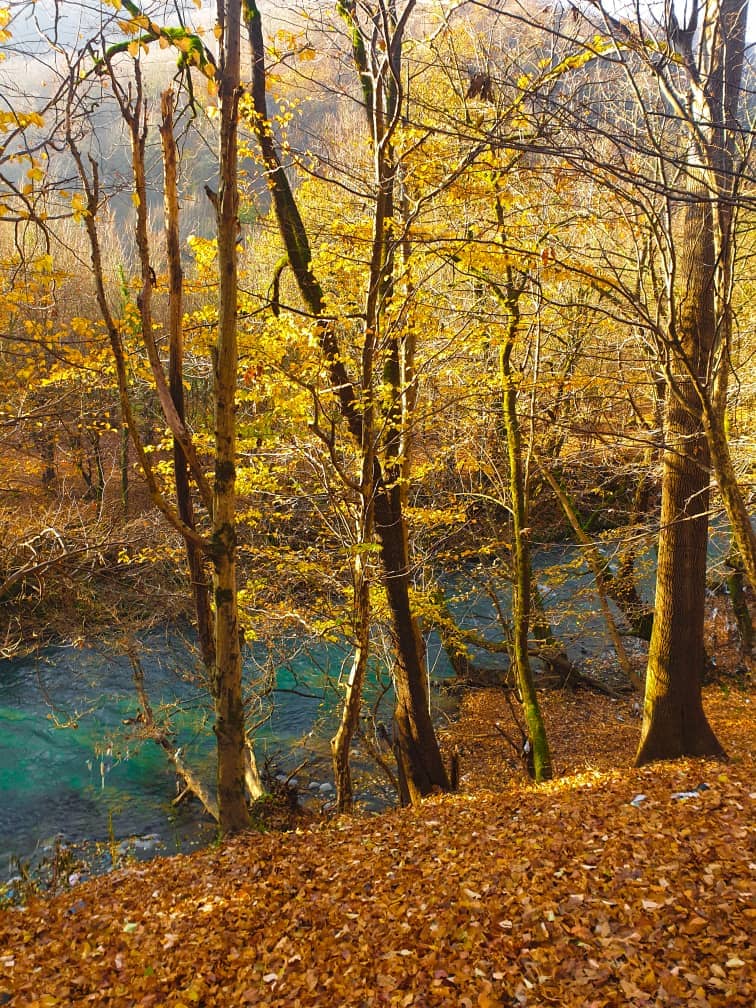 اجاره خانه مبله در امامزاده رشت 