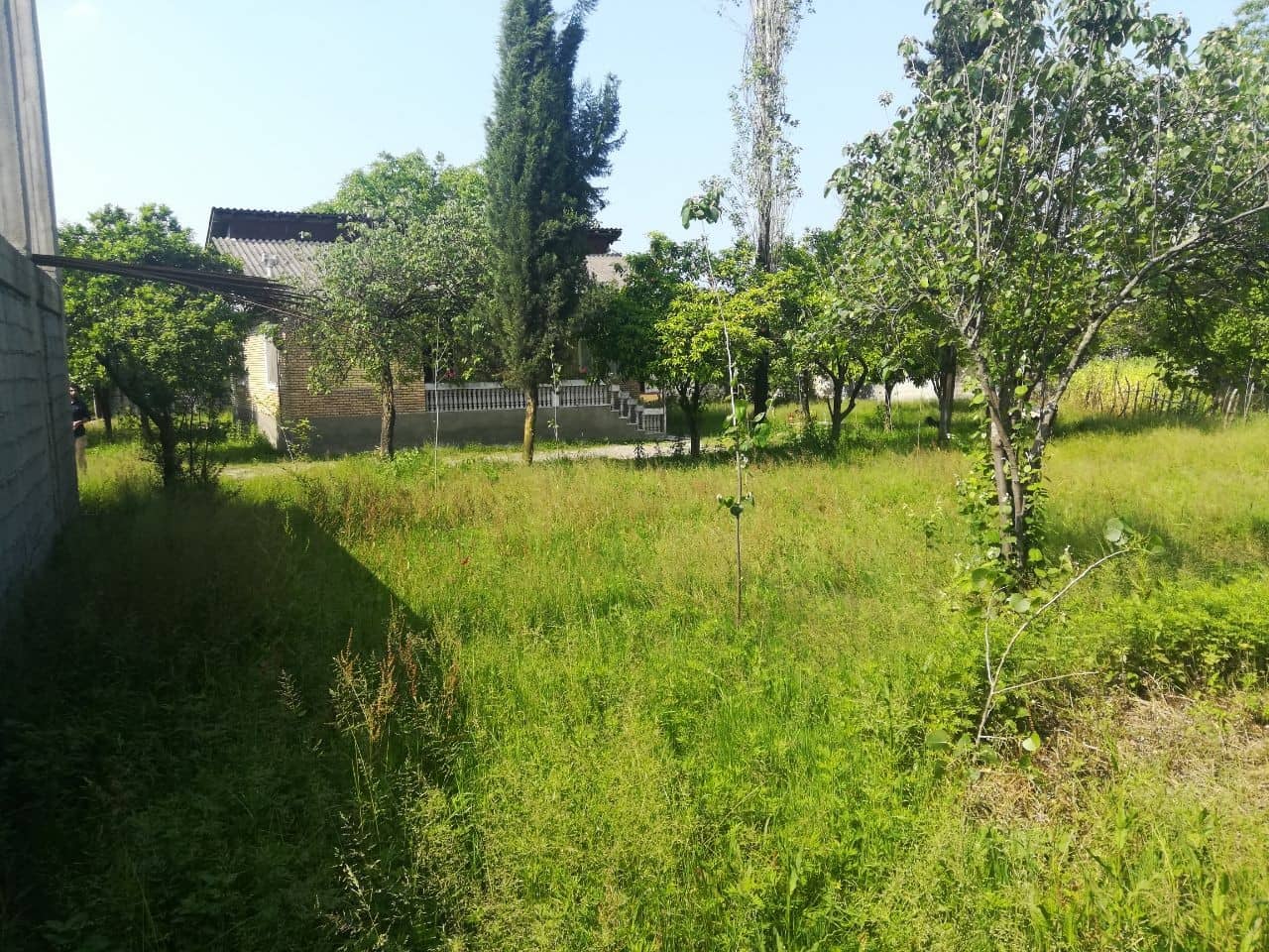 اجاره باغ اجاره ای تمیز درخلخال