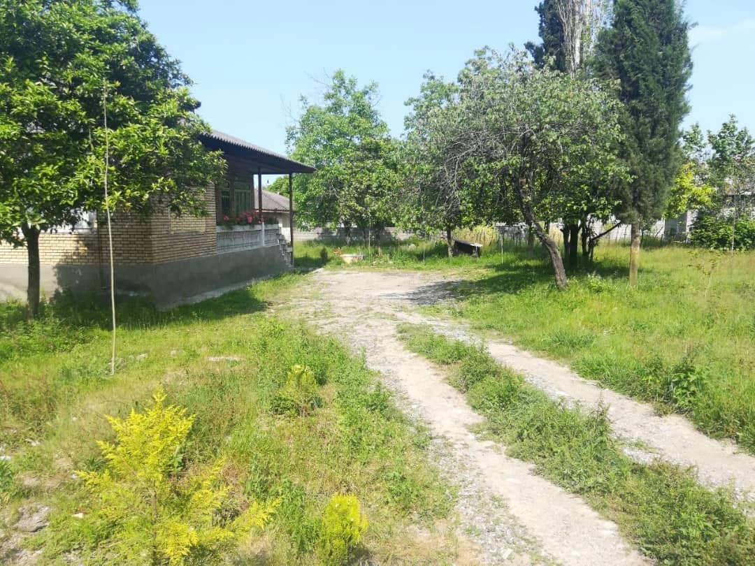 اجاره ویلای جنگلی درتالش