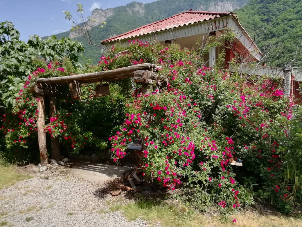 اجاره باغ و ویلا در روستای کلیشم تنکابن