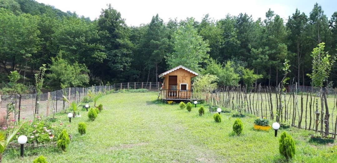 اجاره ویلا جنگلی در ماسال 