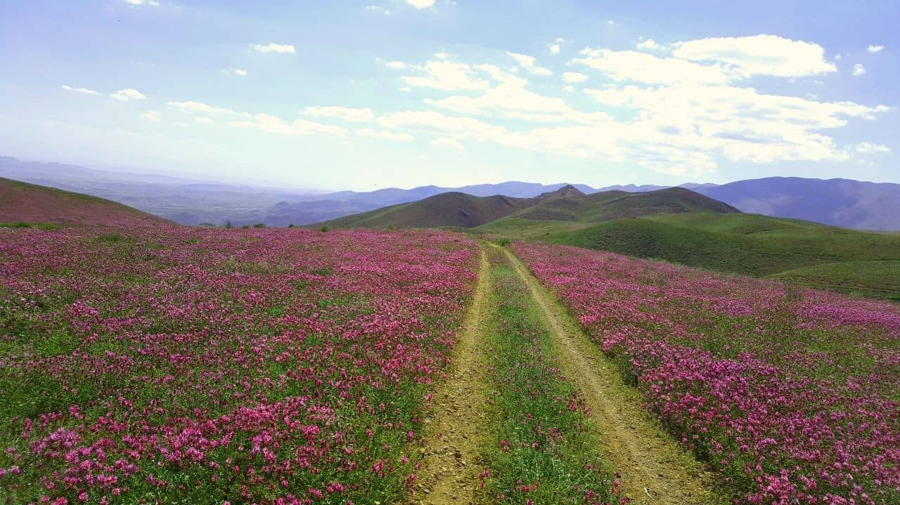 اجاره اقامتگاه سنتی در روستا خرق فاروج