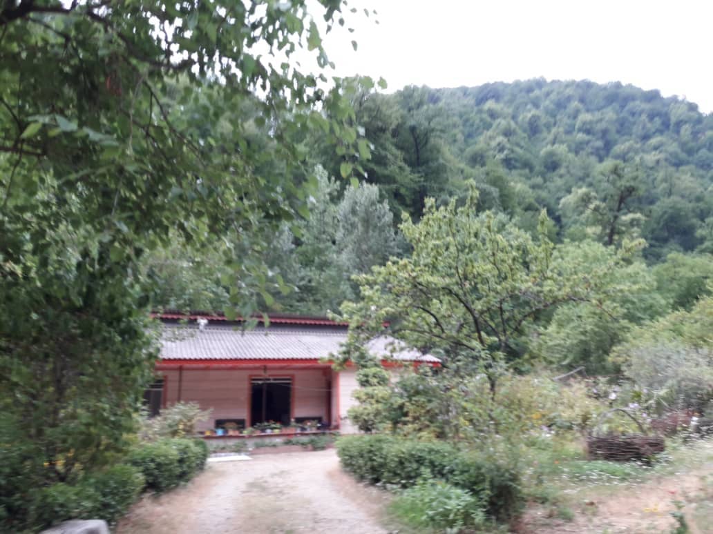 اجاره ویلا جنگلی دراسالم 