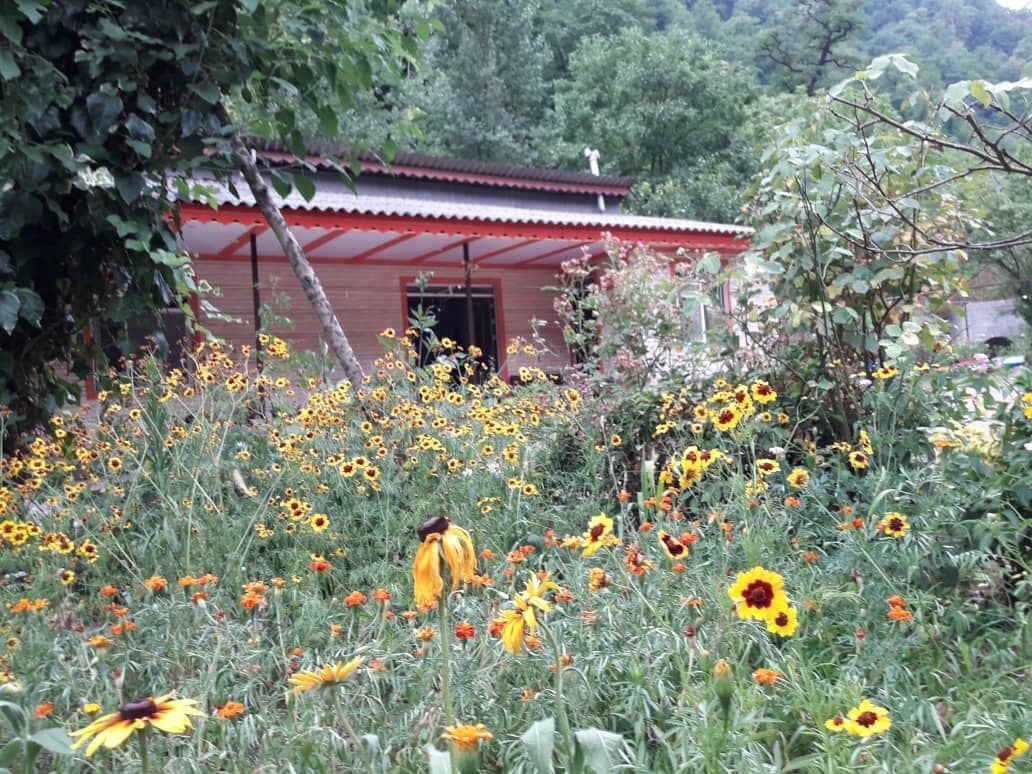 اجاره ویلا جنگلی دراسالم 