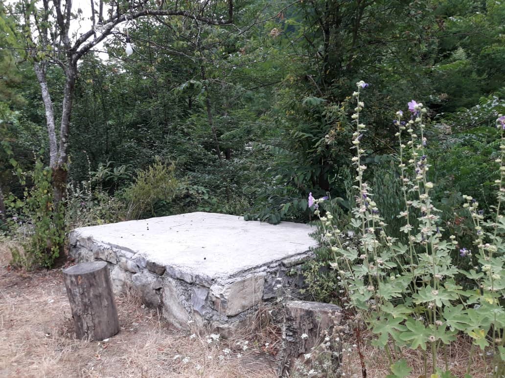 اجاره ویلا جنگلی دراسالم 