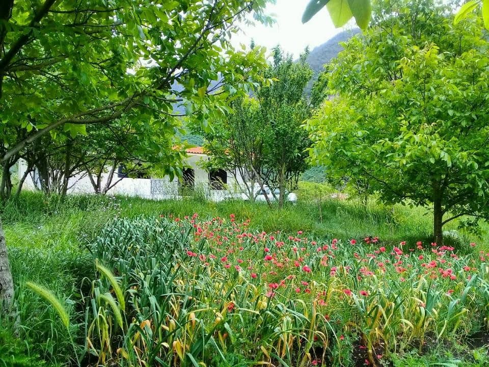 اجاره ویلامبله درتالش 