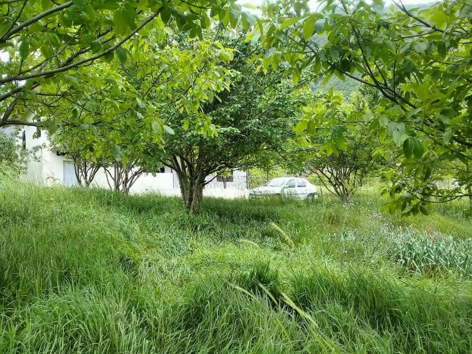 اجاره ویلامبله درتالش 