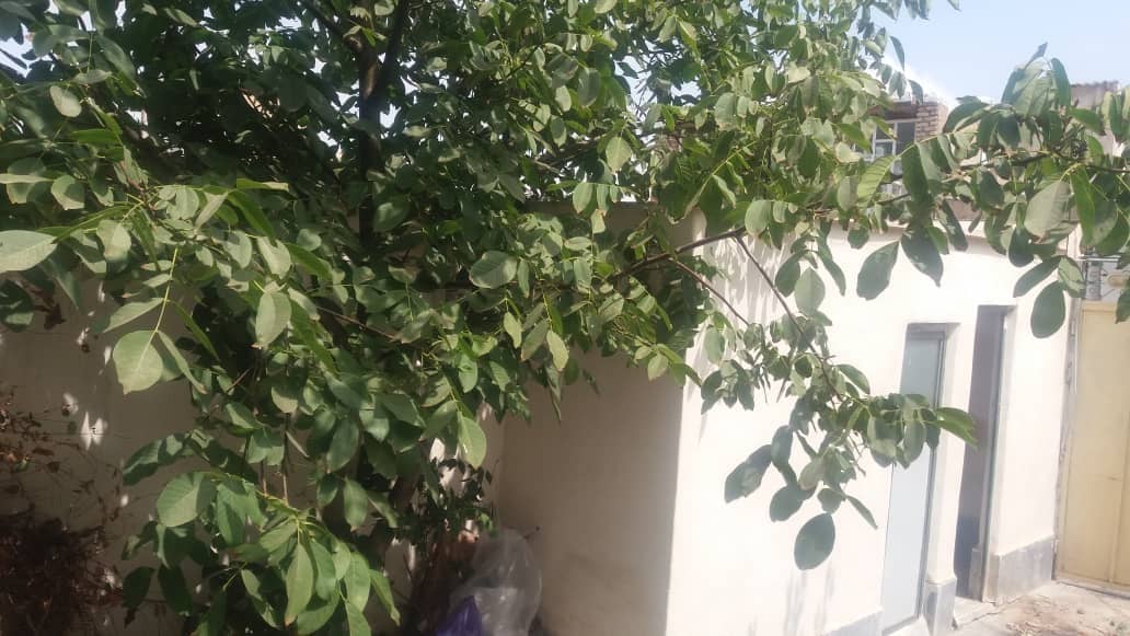 اجاره خانه ویلایی دربست در جام جم اردبیل 