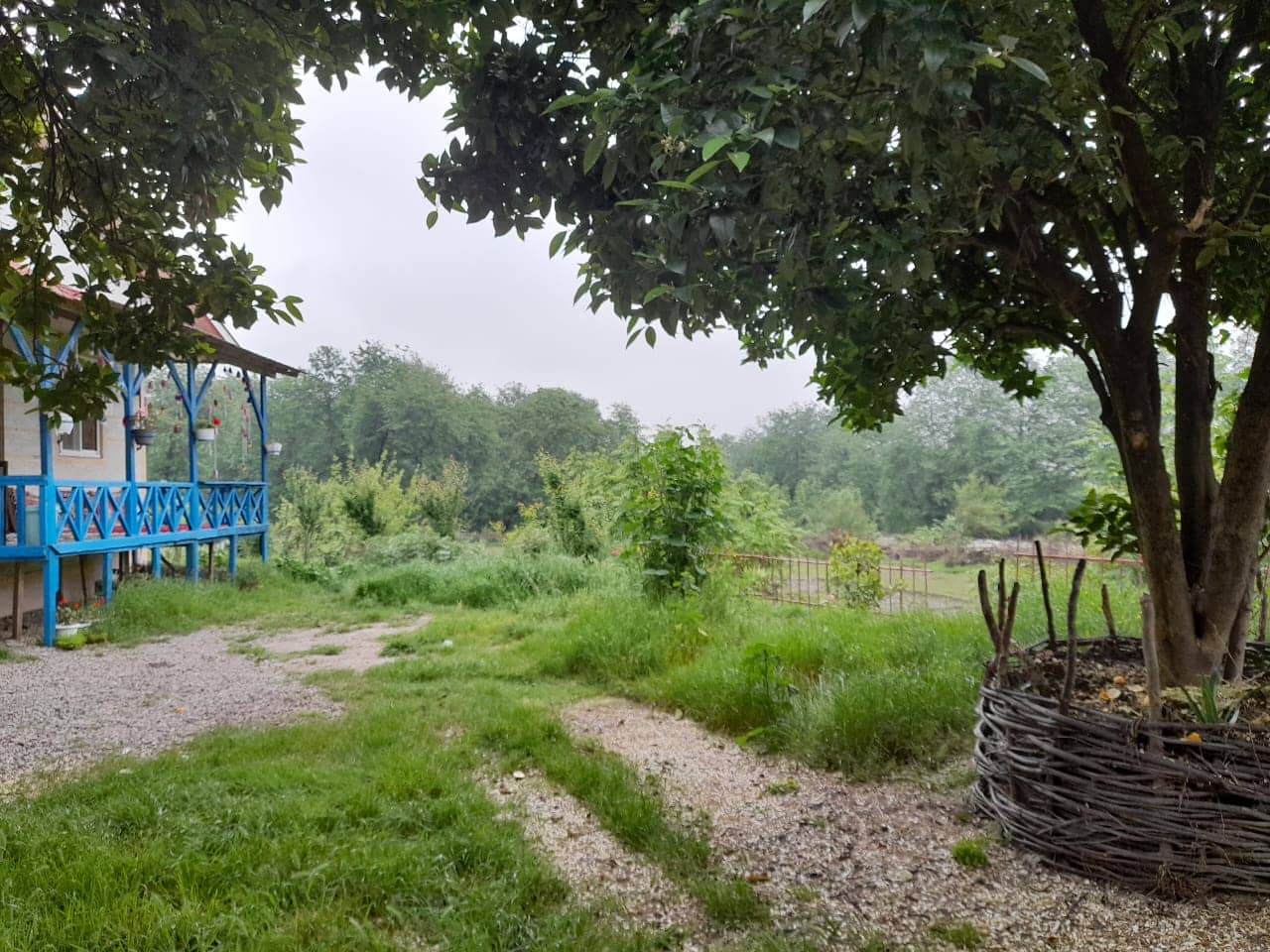 اجاره ویلا جنگلی در روستا لیپا ماسال - همکف