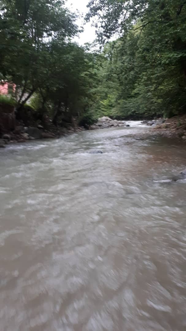 اجاره ویلا ساحلی تمیز در تالش 