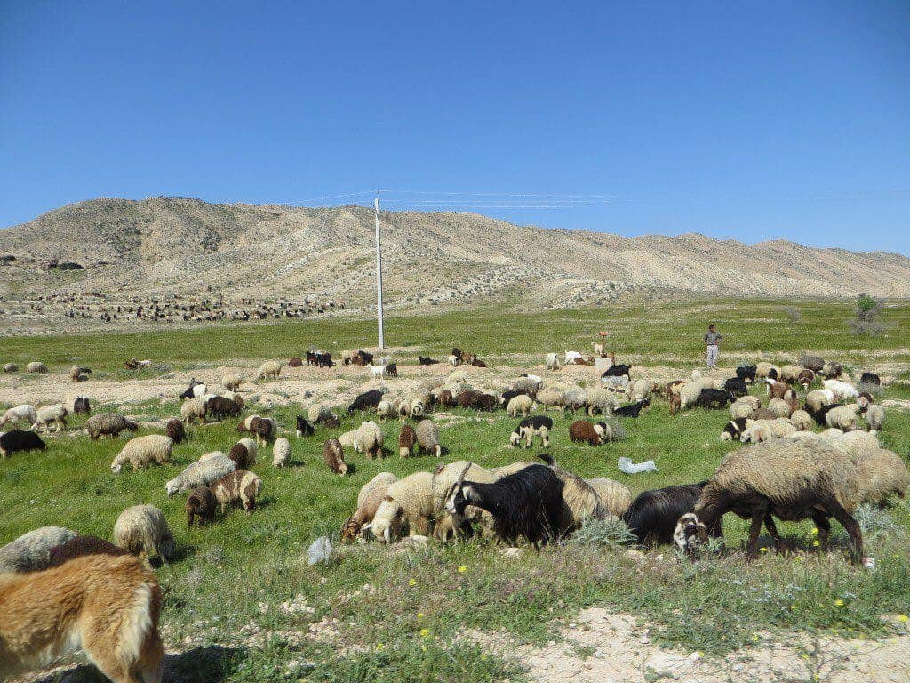 اجاره اقامتگاه بوم گردی فراشبند-امیری 2