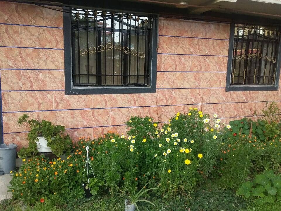 اجاره سوئیت در ساحل گیسوم پره سر