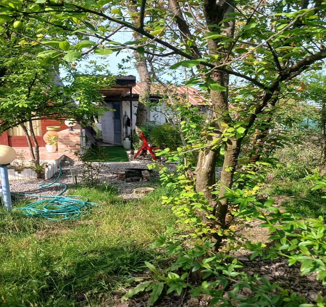 اجاره کلبه سوئیسی در طراز کوه گیلان