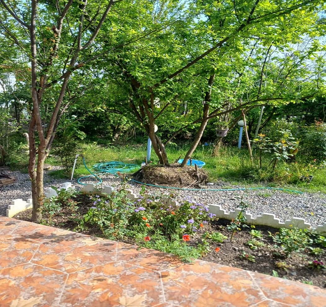 اجاره کلبه سوئیسی در طراز کوه گیلان