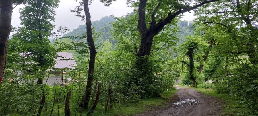 کلبه جنگلی کنار رودخانه در روستای سیاه بیل اسالم حیاط 