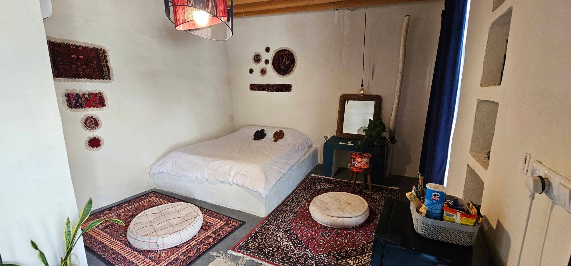 بومگردی در روستا معتمدآباد طبل - کاکتوس حیاط و استخر 