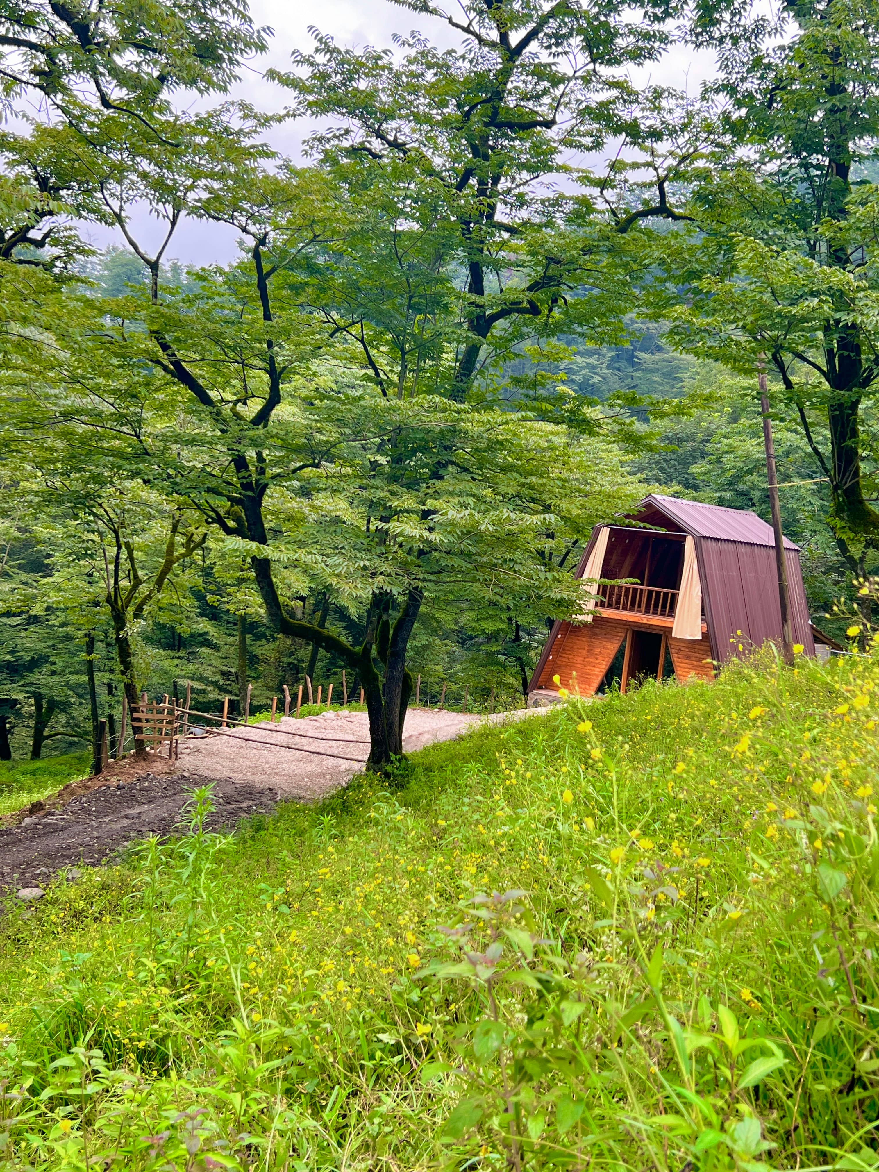 کلبه سوئیسی جنگلی در روستای اسپوک سوادکوه شمالی  نما