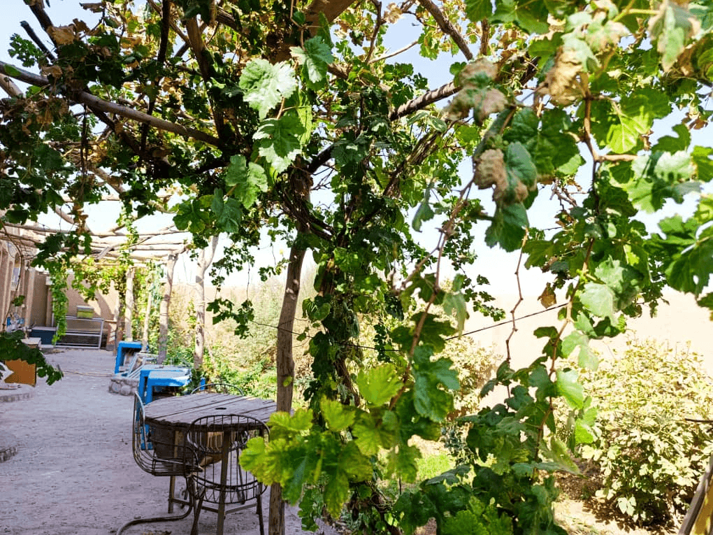 اجاره بومگردی سنتی در روستا فروان آرادان - سنجاقک  اتاق سنجاقک 