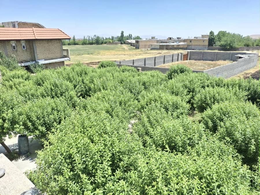 ویلا باغ در روستای برشنه سپیدان