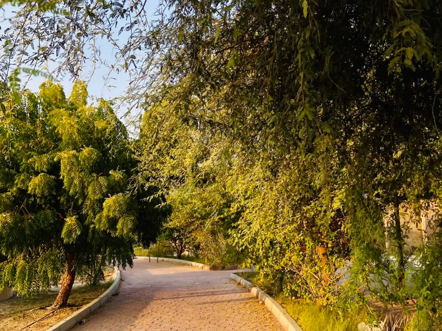 اجاره کپر ساحلی در سیریک - هرمزگان حیاط و کپر ها