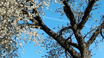 صثضقفل صضثقل