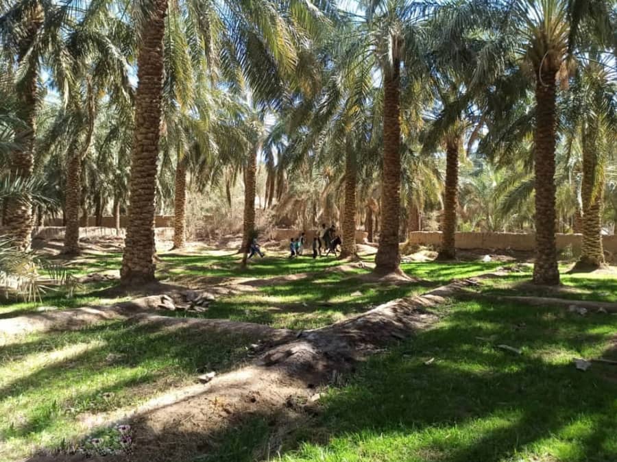 اقامتگاه بومگردی در روستای الله آباد طباطبایی نرماشیر - سنتی  محوطه