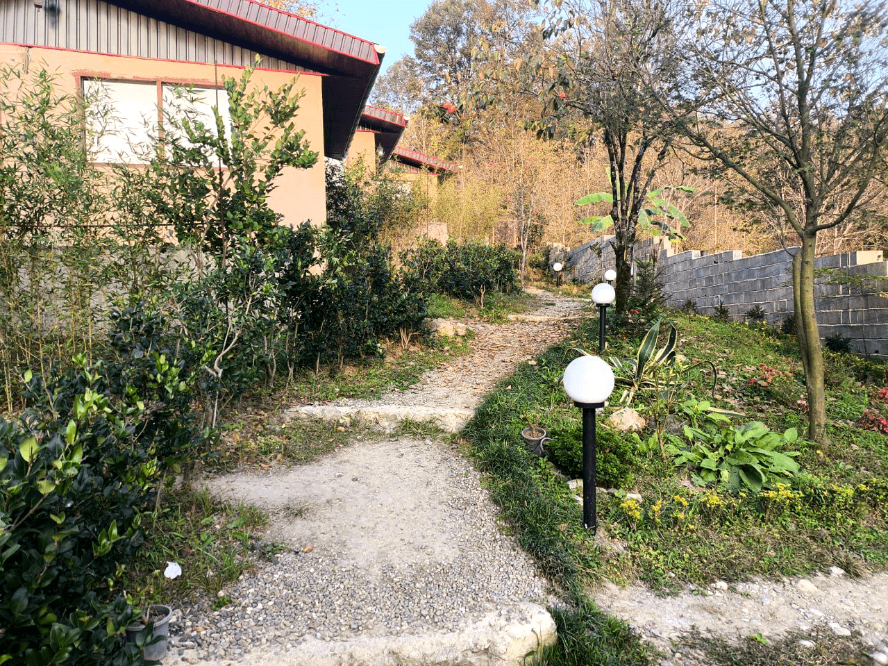 اجاره کلبه جنگلی جکوزی دار در روستا سیوا تنکابن - نیشا  نما کلبه 