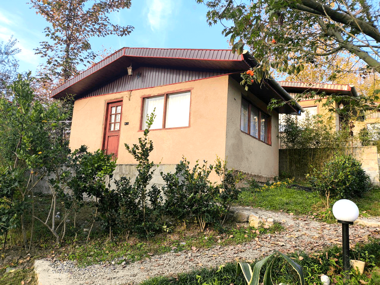 کلبه جنگلی در روستا سیوا تنکابن - سیکا نما کلبه 