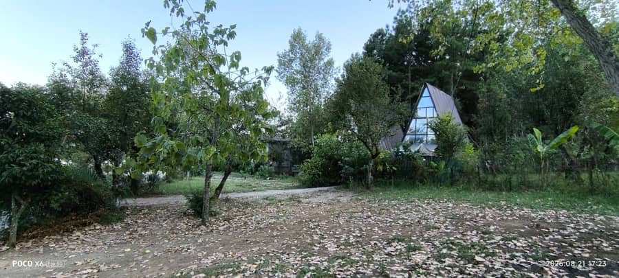 کلبه سوئیسی جنگلی در روستای دربند آستارا - چپ کلبه سوئیسی 