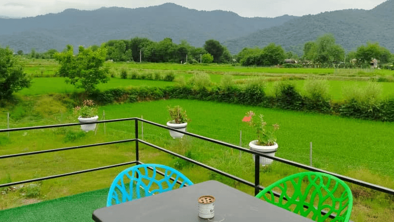 کلبه سوئیسی دوبلکس جنگلی در روستای مهدیخانمحله - ماسال نما