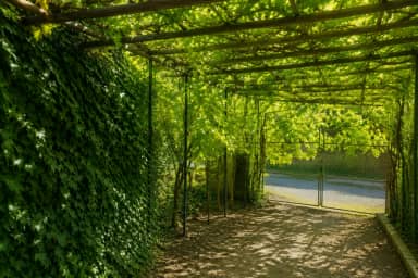 سوئیت ویلایی در سیرچ کرمان - کنار رودخانه 