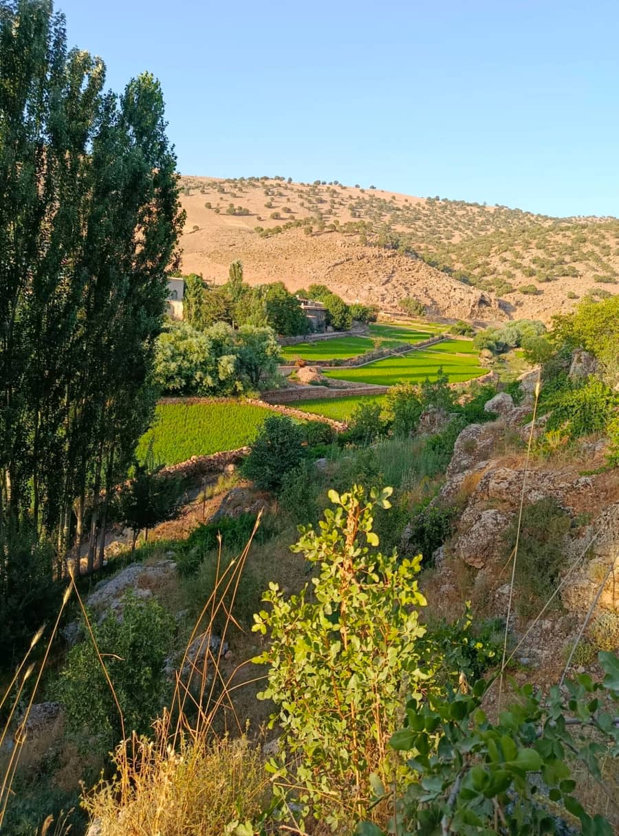 بومگردی در روستای چشمه پهن سرابله سیروان - 7 نما اقامتگاه 