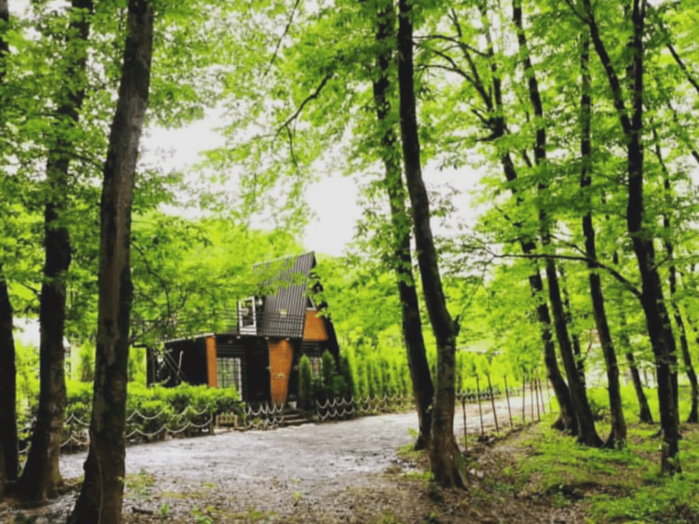 اجاره کلبه سوئیسی جنگلی در روستای سوخته کوه - سانیا  نما کلبه سوئیسی 